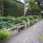 Herbaceous border