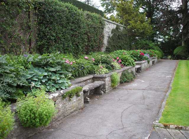 Herbaceous border